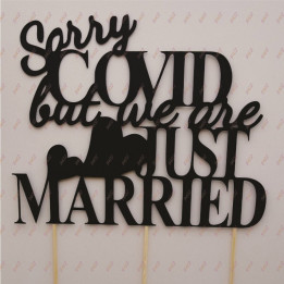 TT025 Sorry COVID