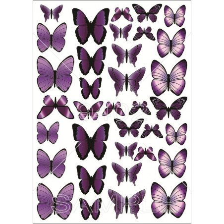 Leptiri ljubičasti Razno 126