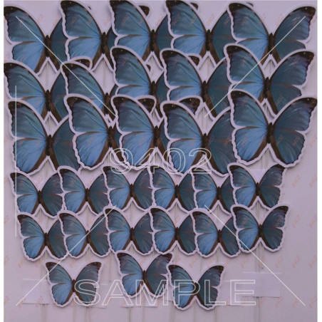 PTS197 Leptiri plavo tirkiz