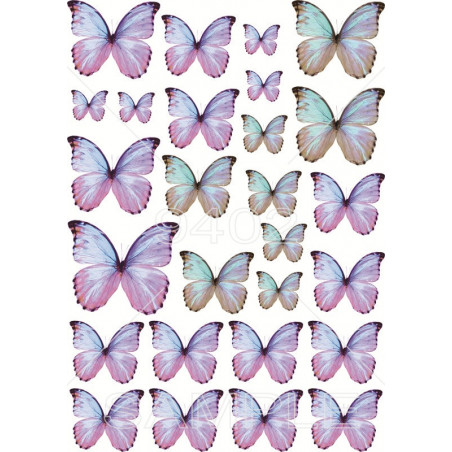 Leptiri plavo ljubičasti Razno 131