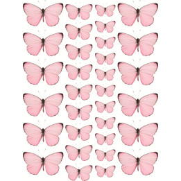 Leptiri roze Razno 135