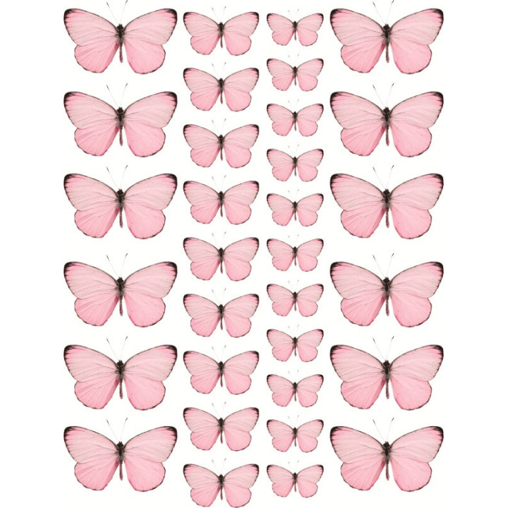 Leptiri roze Razno 135