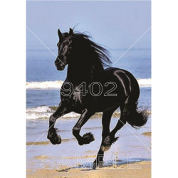 Životinje (26) Konj