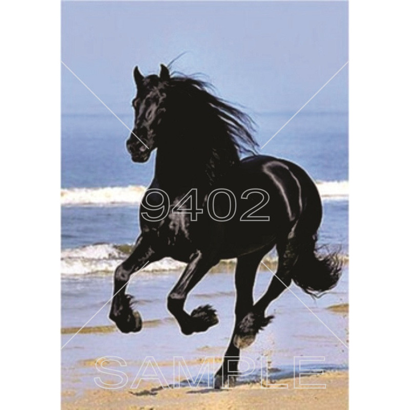 Životinje (26) Konj