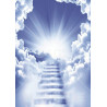 Razno (153) Stepenice ka nebu