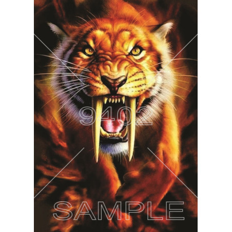 Životinje (27) Tigar