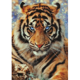 Životinje (28) Tigar