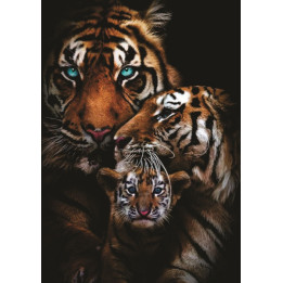 Životinje (29) Tigar