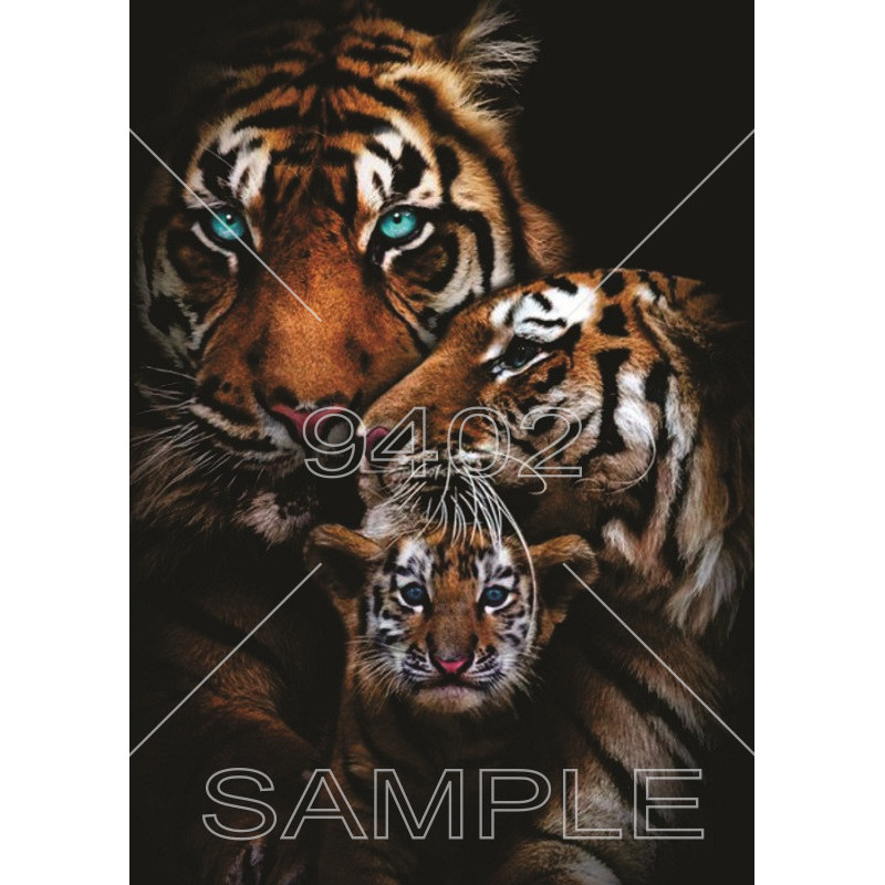 Životinje (29) Tigar