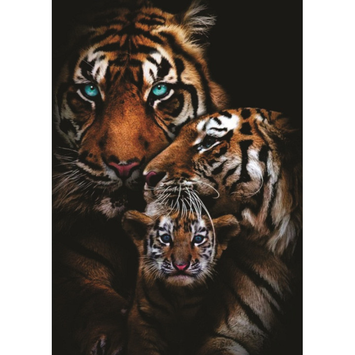 Životinje (29) Tigar