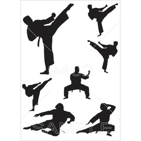 Siluete Karatisti Razno 192
