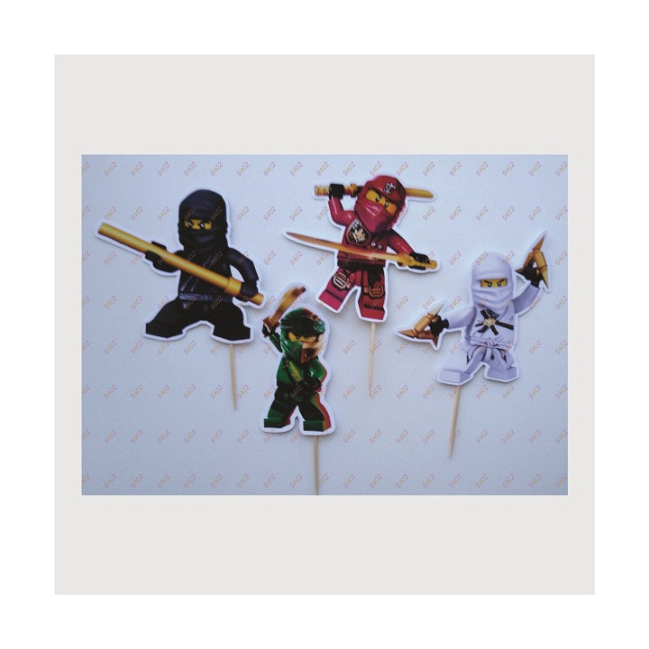 PTS265 Ninjago