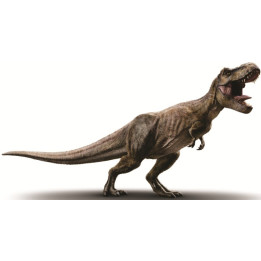 Dinosaurus 016