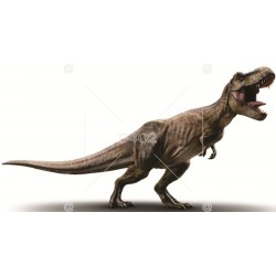 Dinosaurus 016