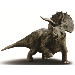 Dinosaurus 017