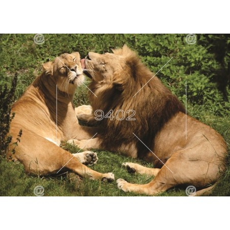 Slika za dekoraciju tema Životinje 014